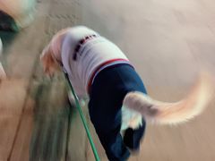 -万达广场(南京江宁店)