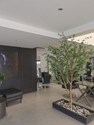 -付军剪艺JF ProSalon