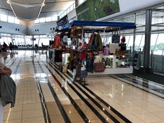 -奥利弗·雷金纳德·坦博国际机场