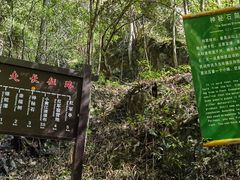 -永州阳明山国家森林公园
