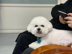 -达爱动物医院·犬猫分区·CT·复杂眼科(远洋山水分院)