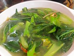 -东鸽皇(奥园·中环广场店)