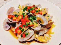 -天辣(金桥啦啦宝都店)