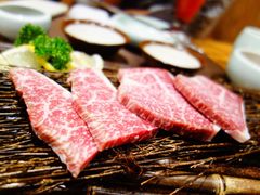 黑牛の店 大悦城店 菜 黑牛三角牛霖肉图片 沈阳 大众点评网