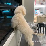 广州咖啡季｜隔壁工坊·初