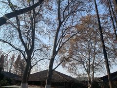 -T80科技文化国际社区-停车场