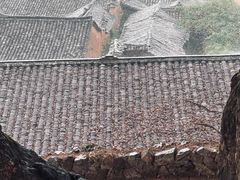 -杨家堂村