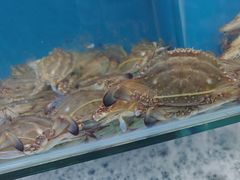 -仙螺岛海鲜自助餐厅(总店)