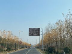 -盐城丹顶鹤湿地生态旅游区