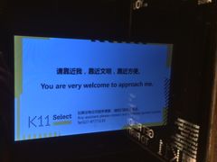 -武汉光谷K11