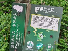 -野象谷景区