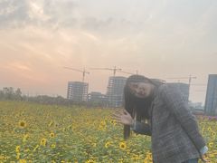-映月湖中央公园