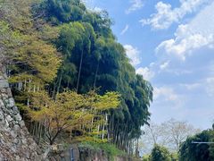 -莫干山风景区