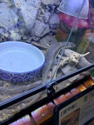 -酷嗒动物文化乐园(cutezoo西溪乐天城店)