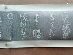 -烟台市博物馆