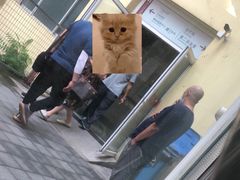 -北京大学肿瘤医院