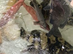 -沙田台山海鲜·酣客酒窖