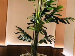 -森Some Fusion(荔湾店)