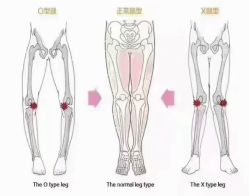 点击看大图 -昕孕瑜伽·孕妇瑜伽·产后修复