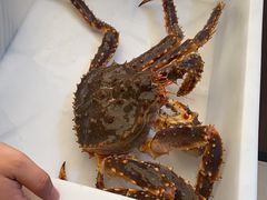 -蟹后Crabber(水悦城店)