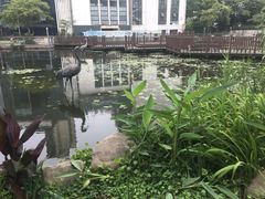 -苏州河梦清园环保主题公园