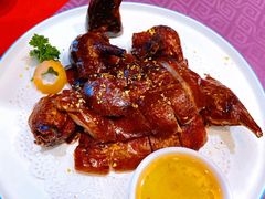 吊烧BB鸭-和记小菜(大宁店)