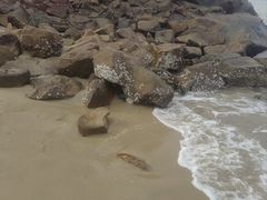 -宁波松兰山滨海旅游度假区