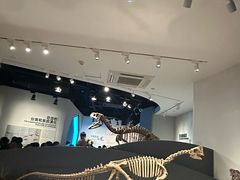 -自贡恐龙博物馆