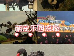 -无锡动物园·太湖欢乐园