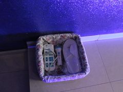 -天鹅恋主题酒店(光谷广场步行街店)