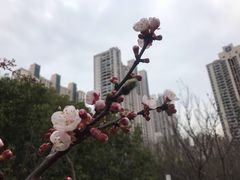 -苏州河梦清园环保主题公园