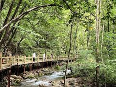 -本溪汤沟绿石谷森林公园