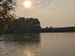 -大湾区中央湿地公园