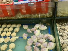 -渔民新村(番禺总店)