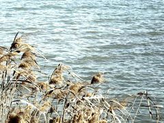 -东钱湖小普陀景区