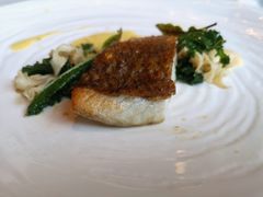 大西洋海鲈鱼-福楼法餐厅FLO