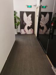 -DEM缔怡美科技美容