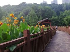 -重庆彩云湖湿地公园