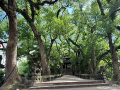 -蒋氏故居