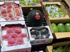 -油麻地果栏