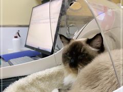 -惠康宠物医院(华能路店)