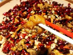 发财肥肠辣子鸡-禄鼎记·多口味酸菜鱼(侨鑫店)