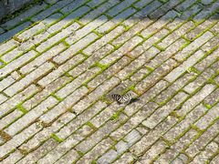 -方山风景区定林寺