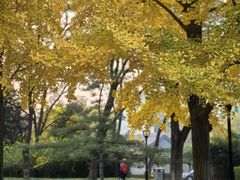 -玲珑塔公园