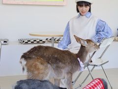 -怪兽屋·羊驼·猫咖·狗咖(俊华广场店)