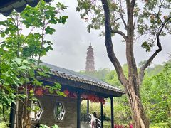 -顺峰山公园