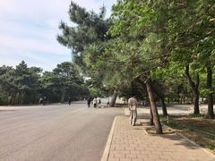 -北陵公园