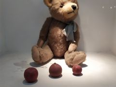 -成都泰迪熊博物馆