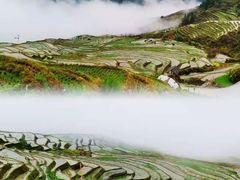 -龙脊梯田