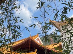 -深圳仙湖植物园